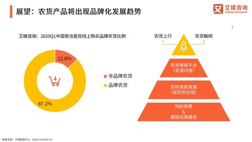 2021年中國(guó)農(nóng)產(chǎn)品電商發(fā)展報(bào)告 信息咨詢視角